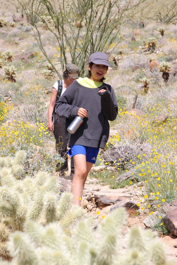 Anza Borrego Desert State Park